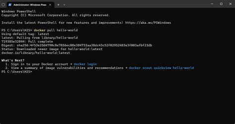 Use Windows PowerShell Dork 的图像结果