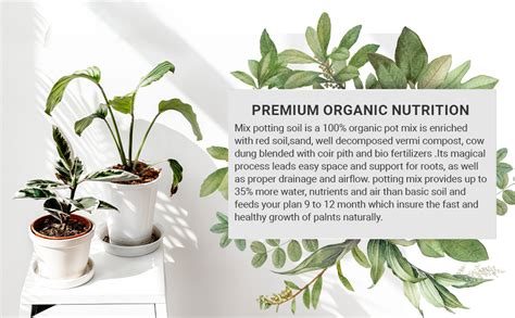 Ready Mix Potting Soil Organic Soil Booster for Plants Gardening ...