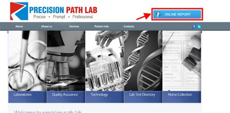 Download Reports from Precision Diagnostic Centre