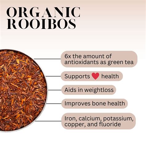 What is Rooibos Tea? - History, Benefits, and More | Full Leaf Tea Company
