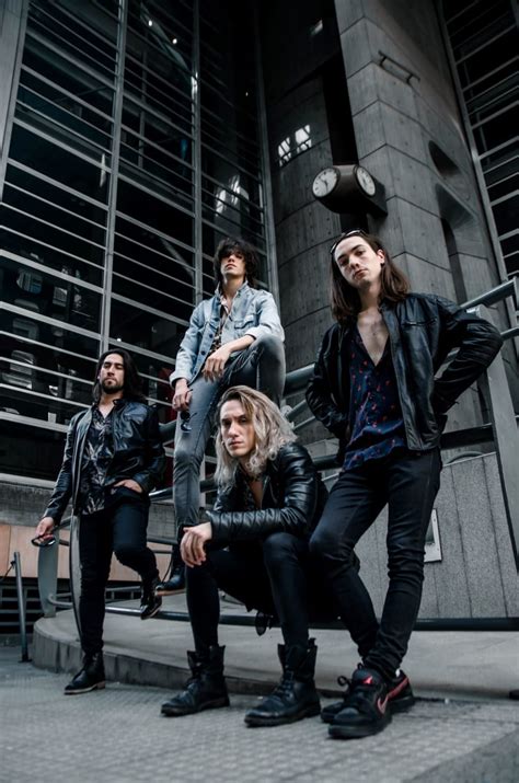 Image result for Proyecto Monarca