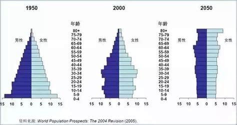 一张令人担忧的中国未来人口结构特点预测图表！
