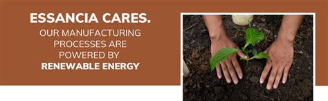 Essancia Organic Almond Carrier Oil - 100% Pure Cold Pressed Oil for ...