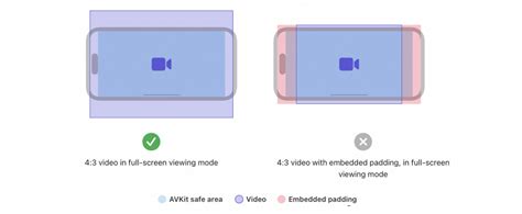 Image result for iOS Video Player