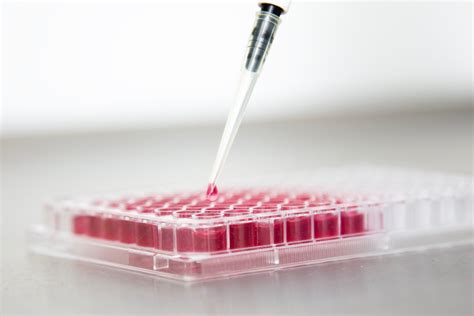 Image result for Cellular Reprogramming