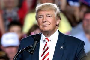 Donald Trump's Net Worth in 2025: Latest Estimate Revealed ...