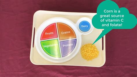 MyPlate Lessons 的图像结果