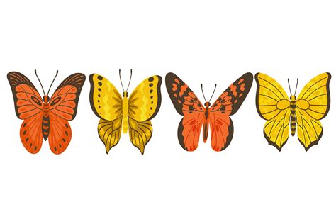 Image result for Butterfly Graph Design
