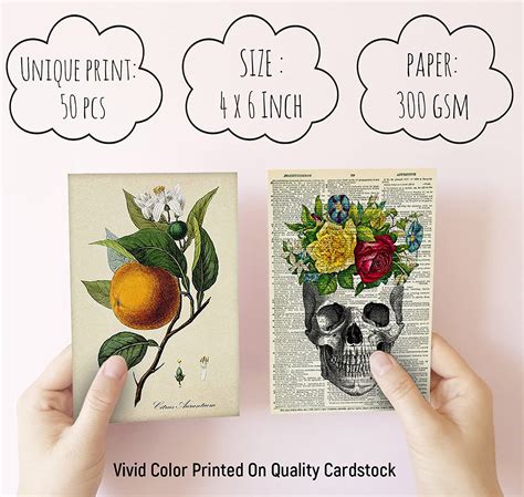 Buy 50PCS Vintage Botanical Illustration Tarot Aesthetic Pictures Wall ...