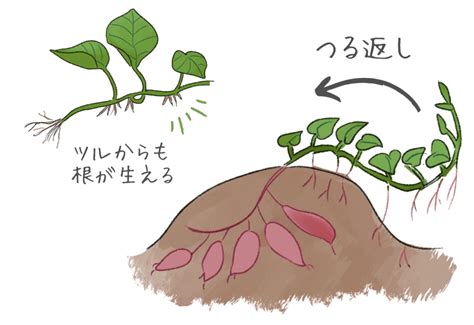 Make Connection in WebSocket JavaScript に対する画像結果