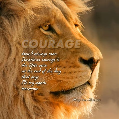 Lion Quotes Wallpapers - Top Free Lion Quotes Backgrounds - WallpaperAccess