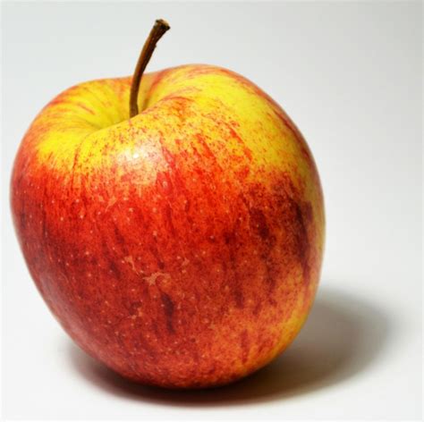 apple drawing with colour pencil