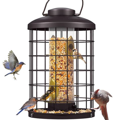 Pros And Cons Of Bird Feeders