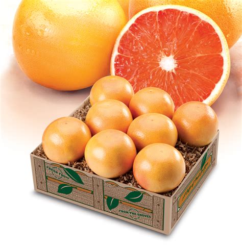 Red Ruby Grapefruit How to Grow Perth 的图像结果