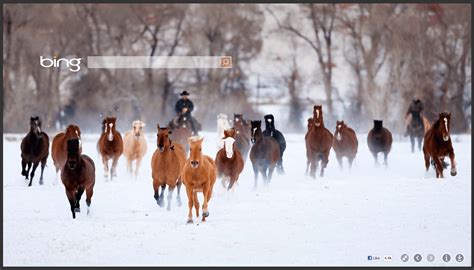Bing Desktop Slideshow 的图像结果