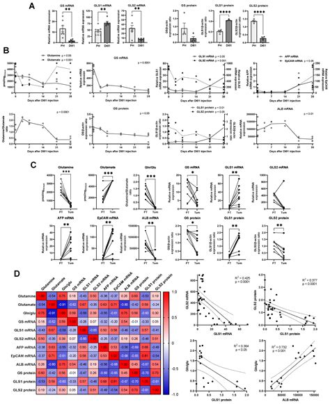 Glutaminase Reprogramming in Hepatocellular Carcinoma: Implications for ...