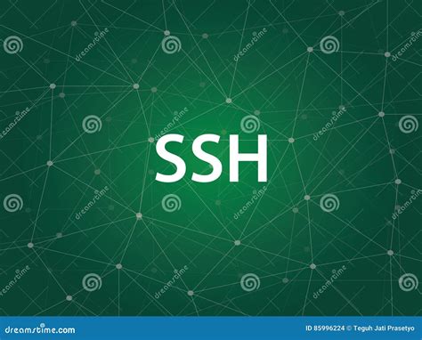 Image result for Secure Shell Network