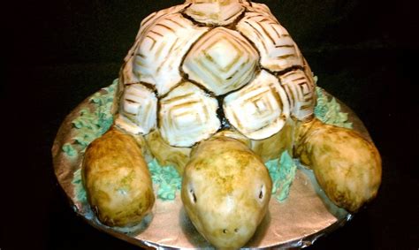 Tortoise Cake Tutorial 的图像结果