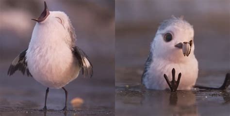 Pixar Short Film Piper