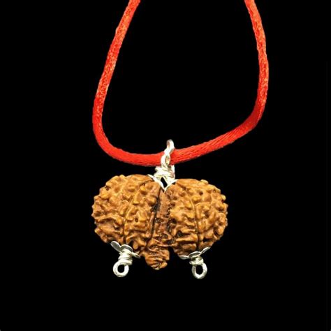 Gaurishankar Rudraksha - Gauri Shankar Nepali Rudraksha Trader ...
