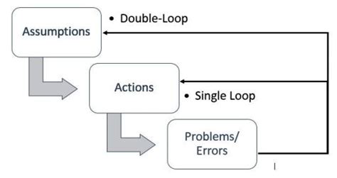 Image result for Double Loop Theory Application