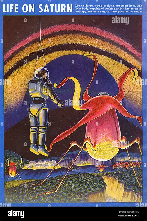 Image result for Imaginary Forms