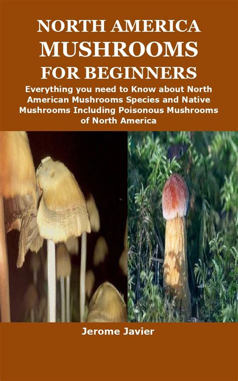 Buy NORTH AMERICA MUSHROOMS FOR BEGINNERS: Everything you need to Know ...