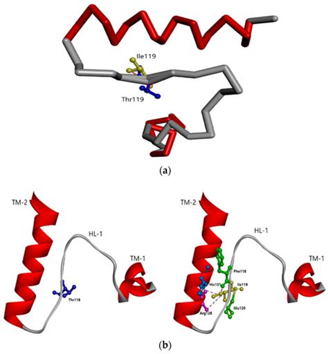 Diagnostics | Special Issue : Alzheimer’s Disease Pathophysiology