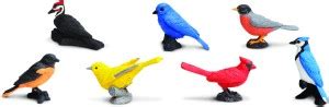 Safari Ltd Toob - Backyard Birds - Toob - Backyard Birds . shop for ...