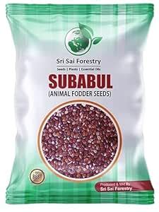 SRI SAI FORESTRY Subabul Tree Seeds for Plantation (Safed Babool ...