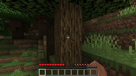 Como Jogar Online Minecraft Java 的图像结果