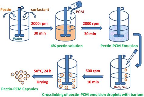 Bio-Based Polymers for Environmentally Friendly Phase Change Materials
