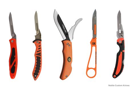 Types of Hunting Knives: A Comprehensive Guide for Hunters - Noblie