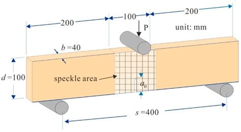 Crack Propagation and Fracture Process Zone (FPZ) of Wood in the ...