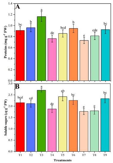 Chitosan Modified Biochar Increases Soybean (Glycine max L.) Resistance ...
