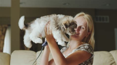 Modern Pet Care Essentials Every Pet Owner Needs Right Now– Qpets