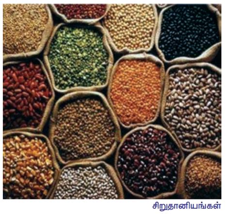 உரைநடை: தமிழர் மருத்துவம் (நேர்காணல்) - இயல் 3 | 8 ஆம் வகுப்பு தமிழ் ...