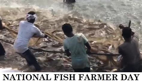 राष्ट्रीय मत्स्य किसान दिवस कब और क्यों मनाते हैं | National Fish ...