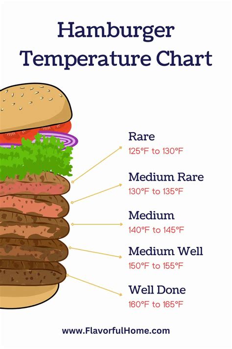Burger Temp Chart Download Free Poster, 55% OFF