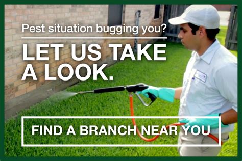 Local Pest Control 的图像结果