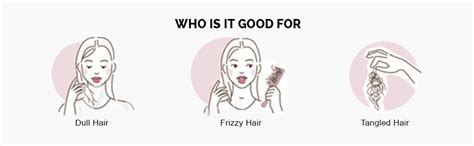 Buy GoshLife PowerTresses Hair Growth Serum Gotukola, Biotin, Prevents ...