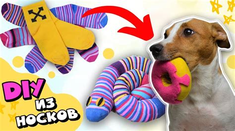 DIY / ИГРУШКИ ДЛЯ СОБАК ИЗ НОСКОВ 🧦 - YouTube