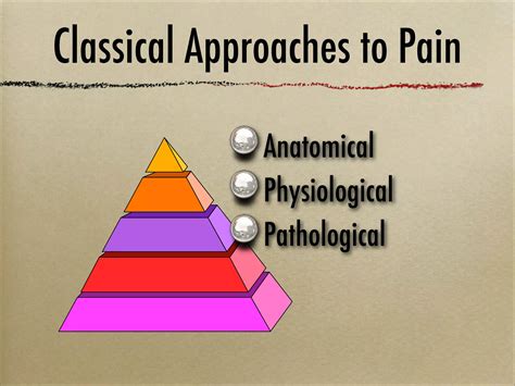 疼痛機制 The mechanism of Pain | PPT