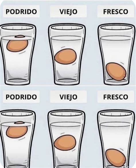 Pin de Patricia en Salud y bienestar | Comida de supervivencia, Recetas ...