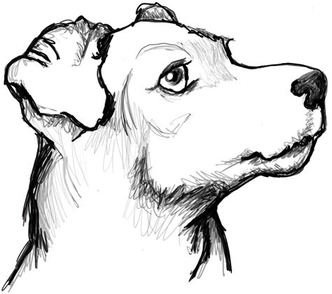 side profile dog drawing