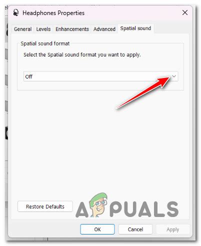 Image result for Spatial Sound Fix