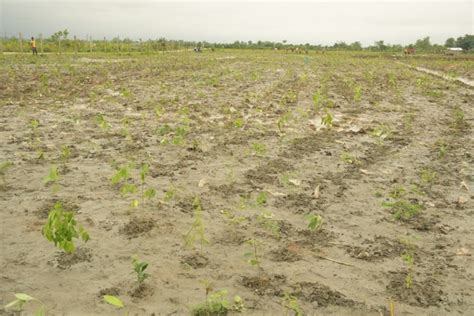 Commitment to Environment | Oil India Limited