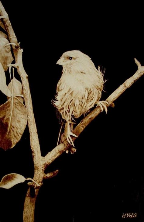 Image result for Pyrography Animals