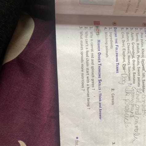 Why iscarrot red and spinach Green - Brainly.in