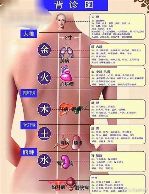 【健康】背部反射区图及口诀 - 知乎